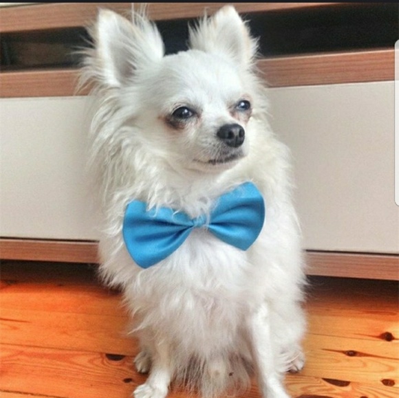 Black & Blue Both for one low price - Picture 2 of 5